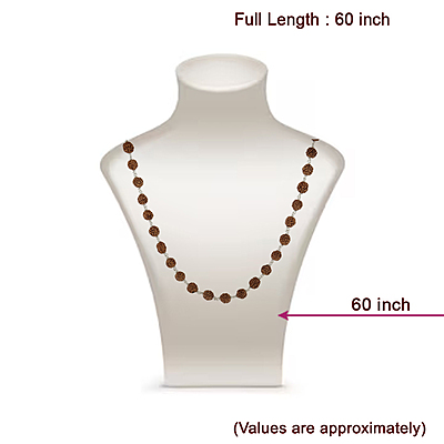 925 Silver Tied Rudraksha Mala - 8mm, 108 Beads, 60 Inches 925 Silver Tied Rudraksha Mala - 8mm, 108 Beads, 60 Inches