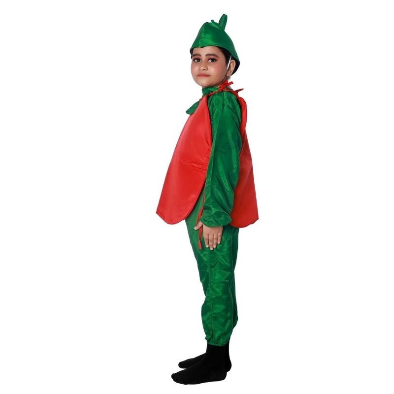 Apple Fancy Dress Costume