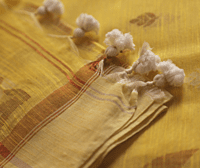 Haldi Haldi