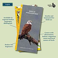 Pan-India Pocket Guides Kit