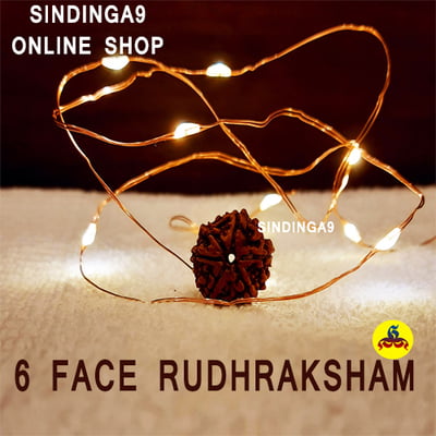 Rudhraksham - All faces Rudhraksham - All faces