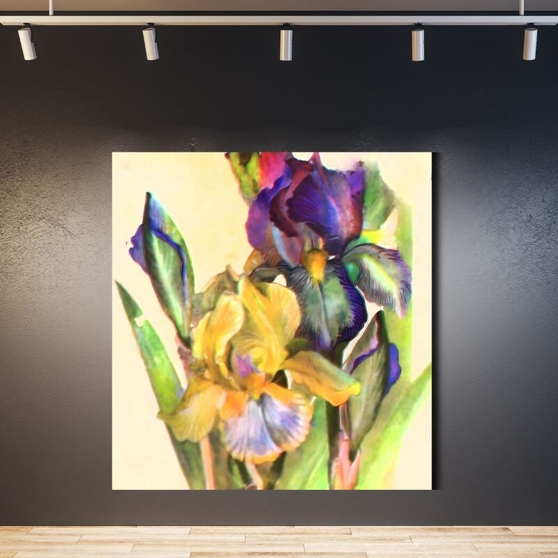Wallart Iris