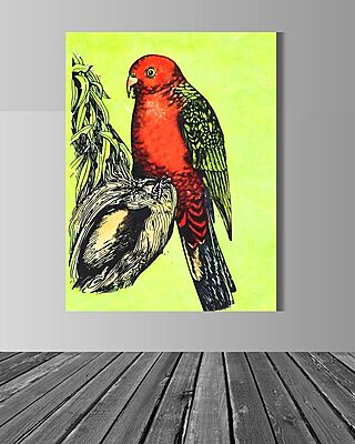 Wallart King Parrot Wallart King Parrot
