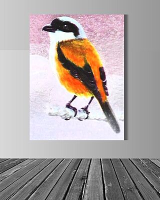 Wallart Shrike Wallart Shrike