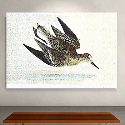 Wallart Stint Wallart Stint