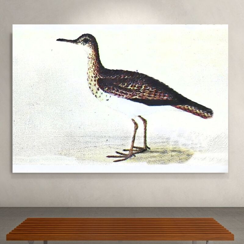 Wallart Sandpiper Bertram
