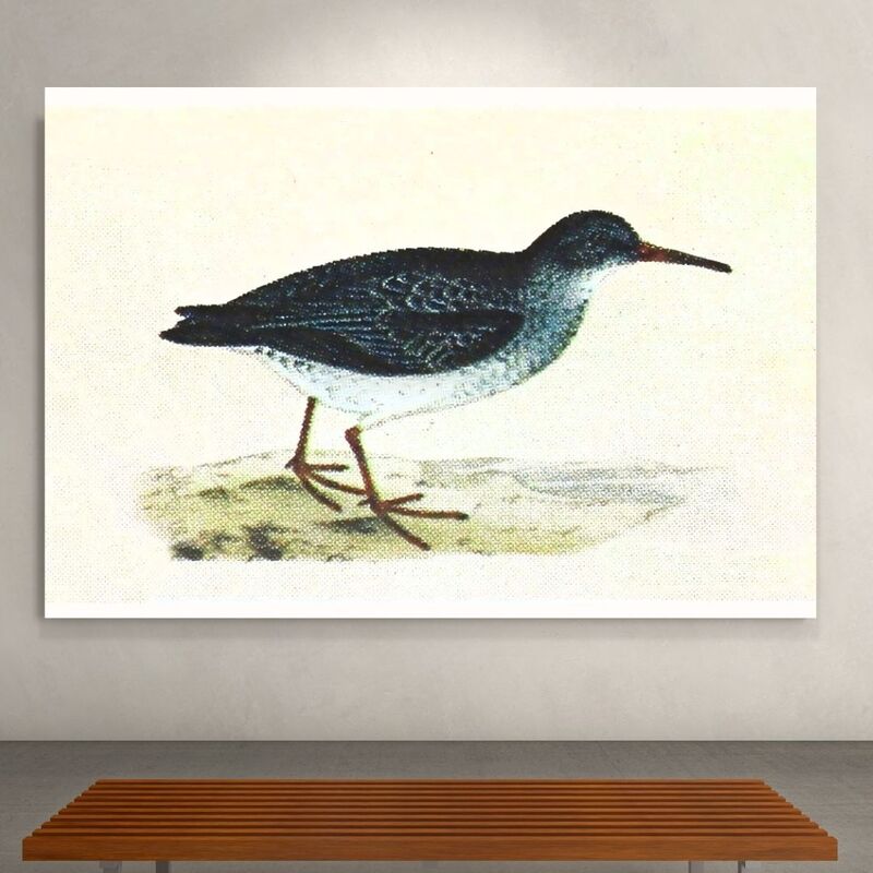 Wallart Sandpiper
