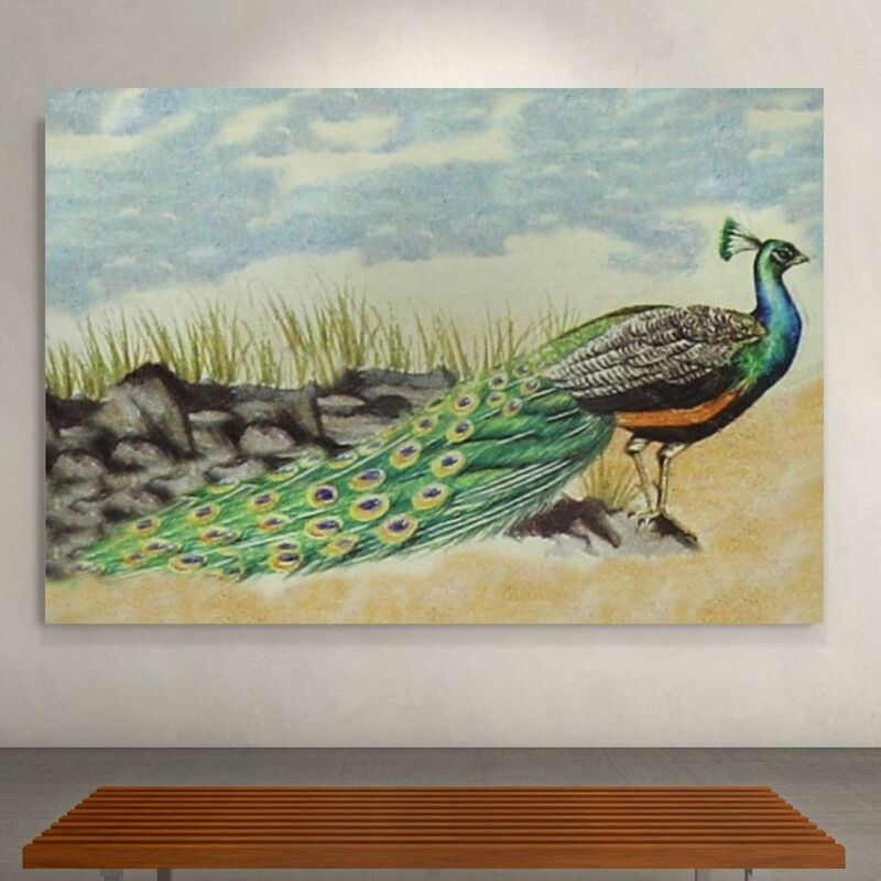 Wallart Peacock