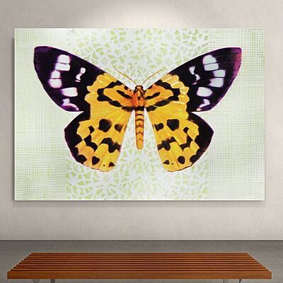 Wallart Militaris Wallart Militaris