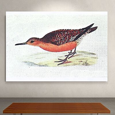 Wallart Knot Wallart Knot