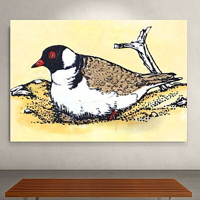 Wallart Dotterel Wallart Dotterel
