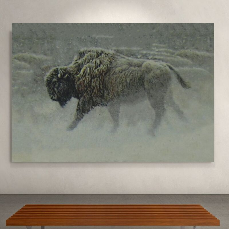 Wallart Bison
