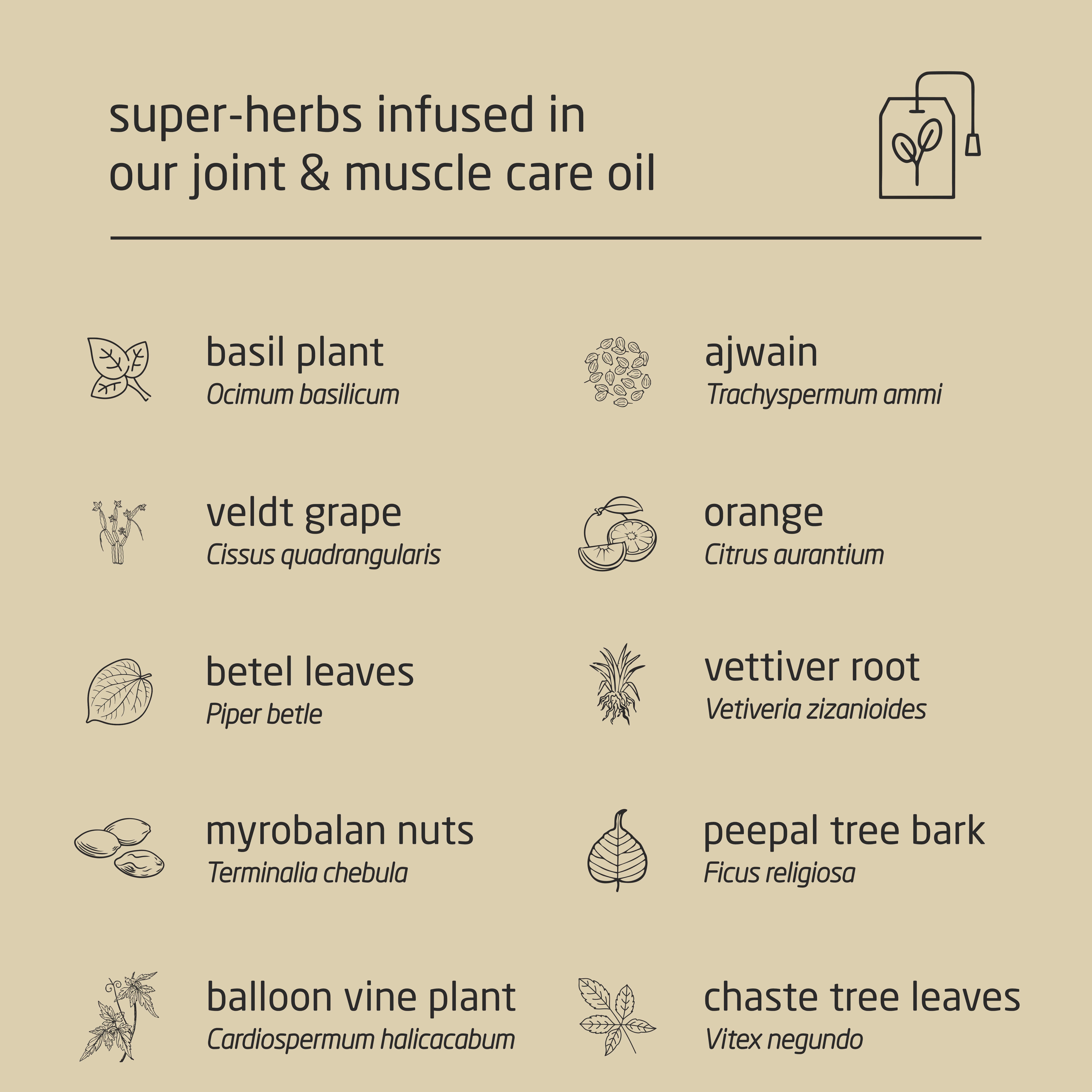 Premium Herbal Cold-Infused Joint & Muscle Care Oil - 100ml Premium Herbal Cold-Infused Joint & Muscle Care Oil - 100ml