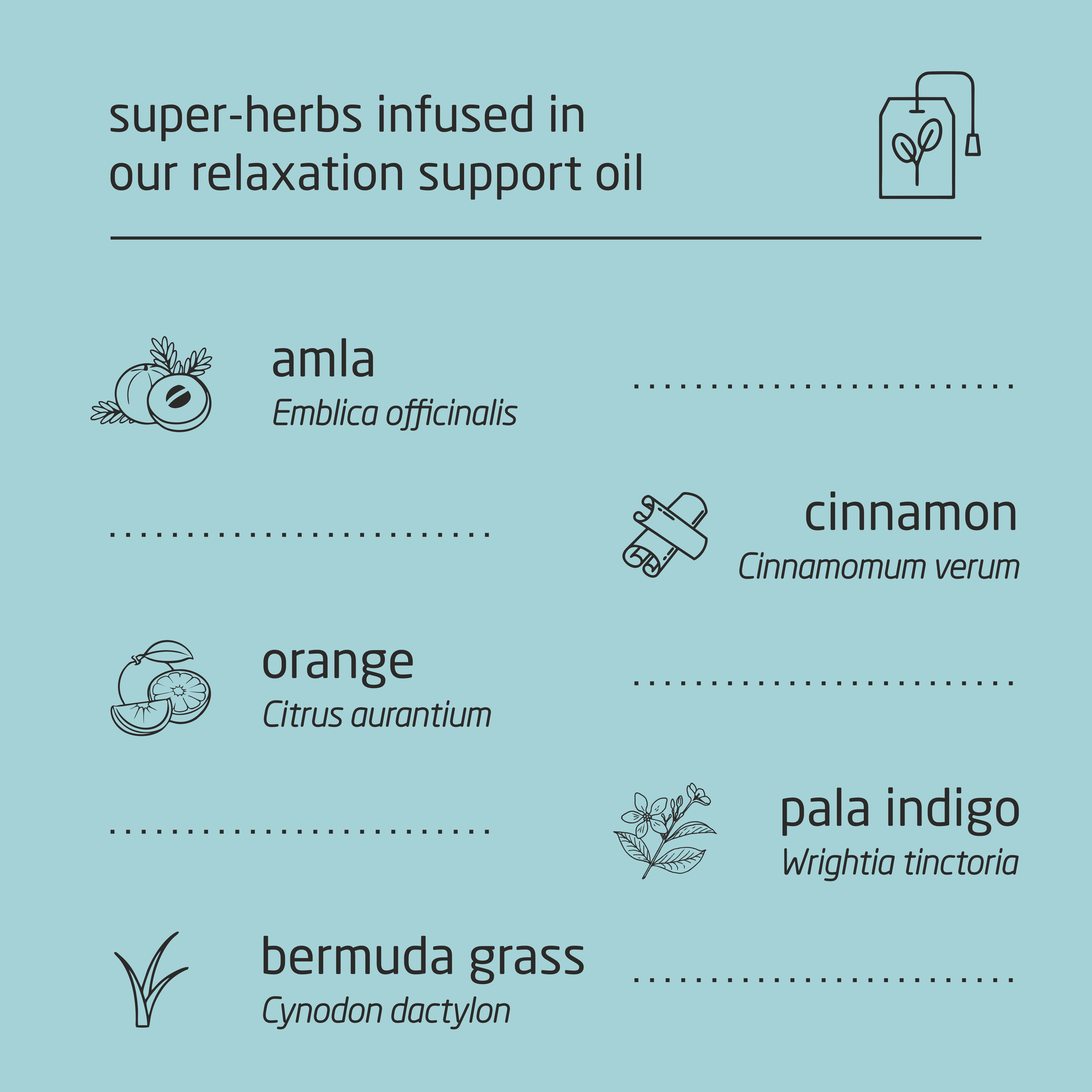 Premium Herbal Cold-Infused Relaxation Support Oil - 100ml Premium Herbal Cold-Infused Relaxation Support Oil - 100ml