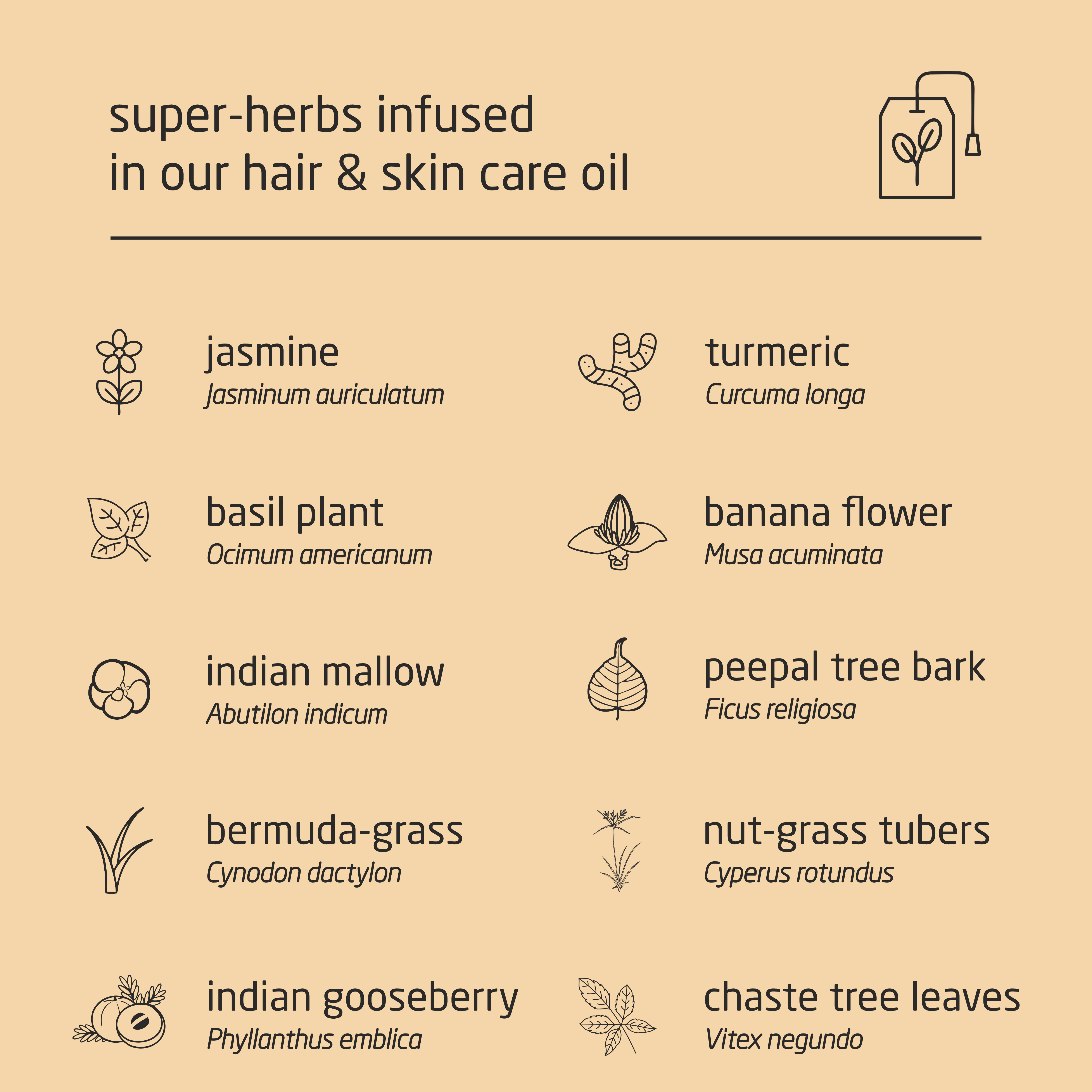 Premium Herbal Cold-Infused Hair & Skin Care Oil - 100ml Premium Herbal Cold-Infused Hair & Skin Care Oil - 100ml