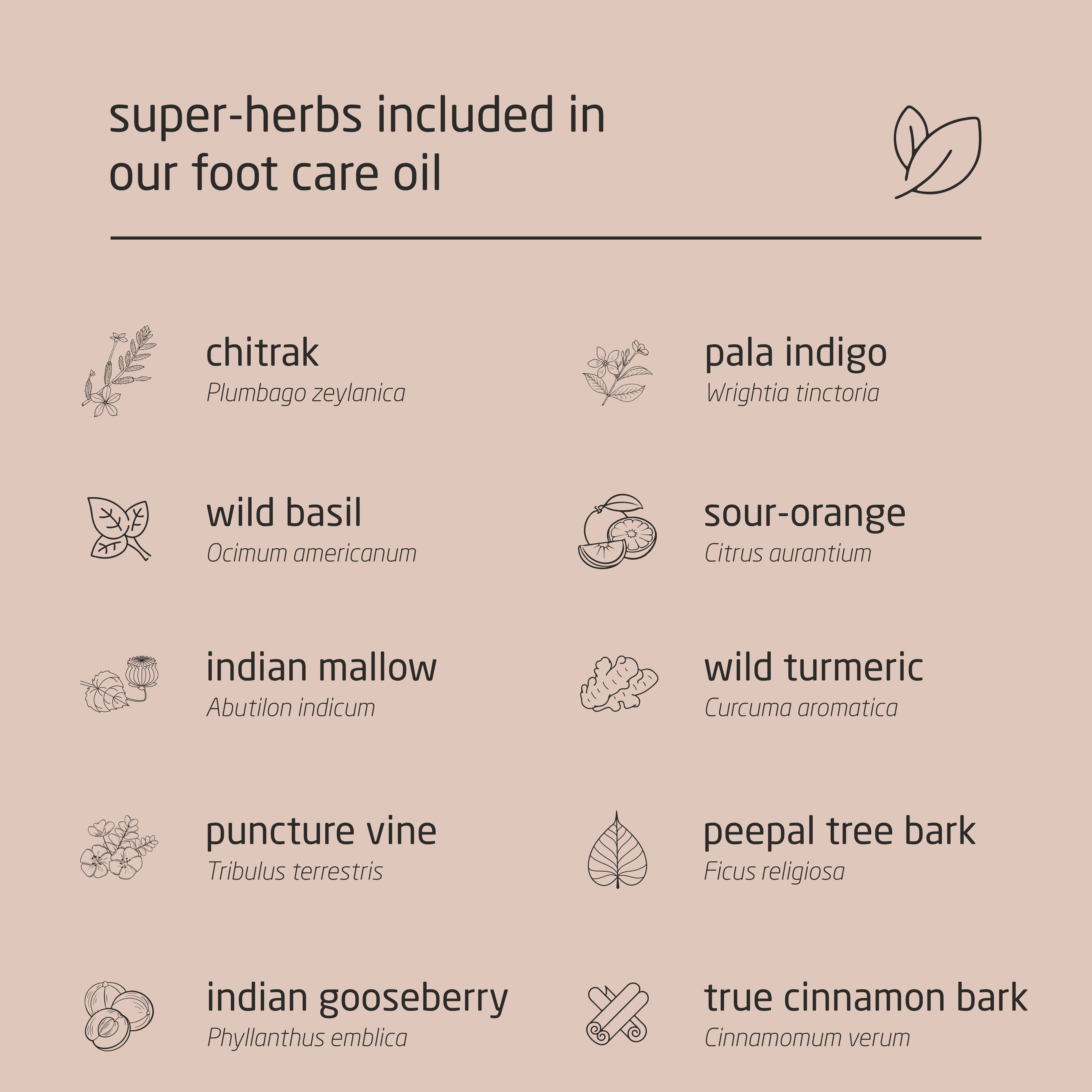 Premium Herbal Cold-Infused Foot Care Oil - 100ml Premium Herbal Cold-Infused Foot Care Oil - 100ml
