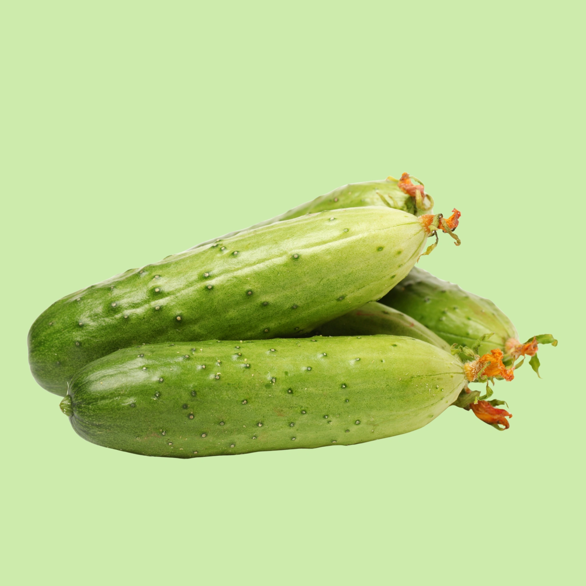 Gherkin