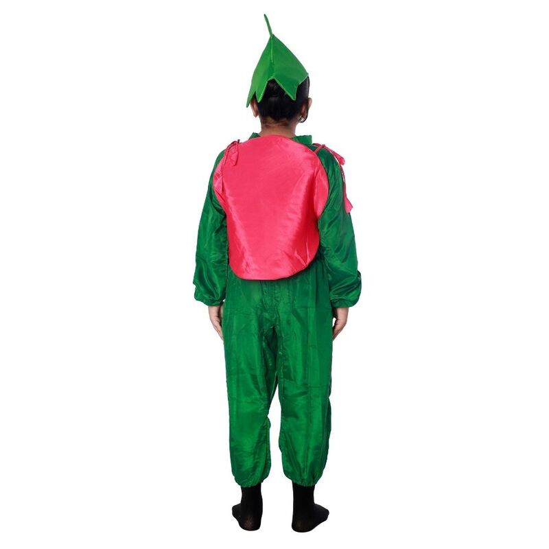 Kiwi Fancy Dress Costume