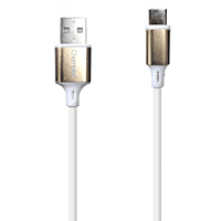 Champion USB to Type-C 3Amp Data Sync & Charging Cable PVC Metal 1M for all Smartphones, Tablets & other Type C devices (Silver) Champion USB to Type-C 3Amp Data Sync & Charging Cable PVC Metal 1M for all Smartphones, Tablets & other Type C devices (Silver)