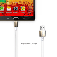 Champion USB to Type-C 3Amp Data Sync & Charging Cable PVC Metal 1M for all Smartphones, Tablets & other Type C devices (Silver) Champion USB to Type-C 3Amp Data Sync & Charging Cable PVC Metal 1M for all Smartphones, Tablets & other Type C devices (Silver)