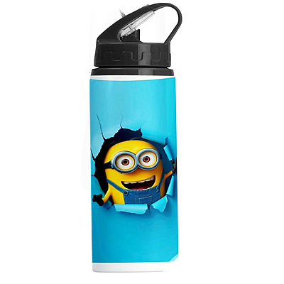Printed Fun Minion Design 600ml Aluminum Sipper Bottle –  Perfect for School, Gym,