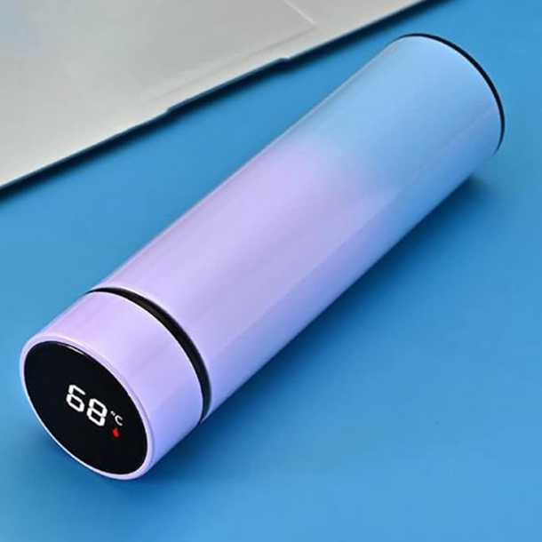 Temperature Display Water Bottle/LED Bottle with Infuser and Strainer