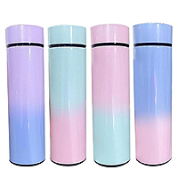 Temperature Display Water Bottle/LED Bottle with Infuser and Strainer