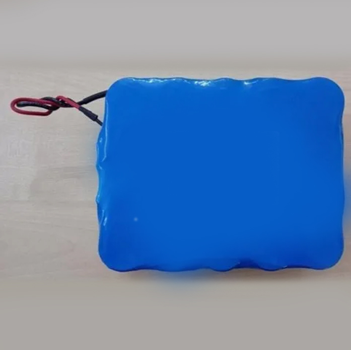 Solar Street Light Life P 04 Battery Pack