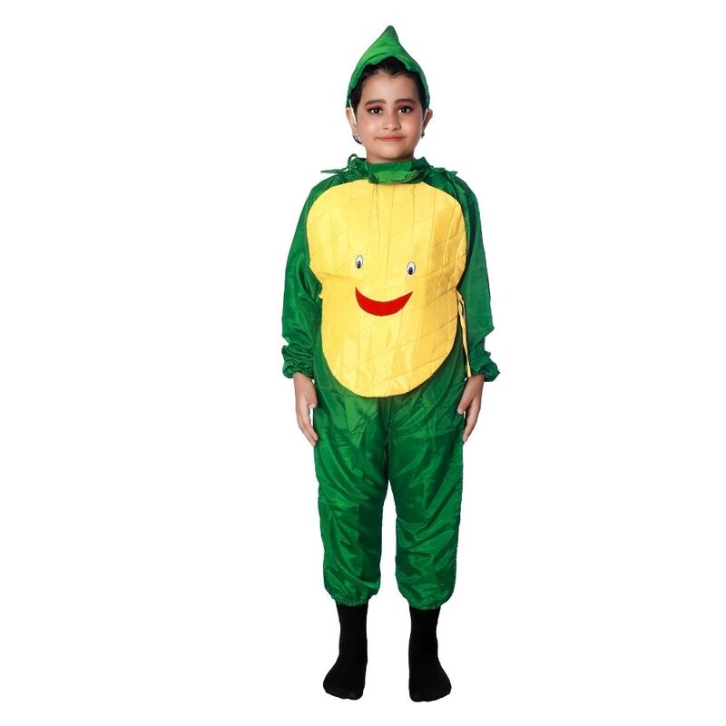 Pineapple Fruit Fancy Dress Costume