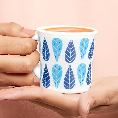 BOROSIL TEAPOT STAINLESS STEEL 1L