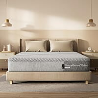 ShapeSense Orthopedic Classic Memory Foam Mattress ShapeSense Orthopedic Classic Memory Foam Mattress