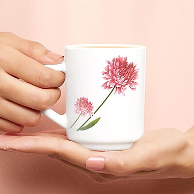 BOROSIL COFFEEMATE 300 BOROSIL COFFEEMATE 300