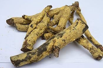 Ekanayakam Root Ekanayakam Root