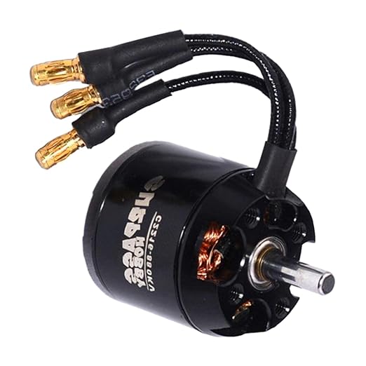 Enakshi (LABEL) Creations 2216 880Kv 14 Poles Brushless Motor Compatible with Hbx Rc Airplane Fixed-Wing PartsToys & Hobbies|Radio Control & Control Line|Rc Model Vehicle Parts & Accs| Rc Parts & Accs