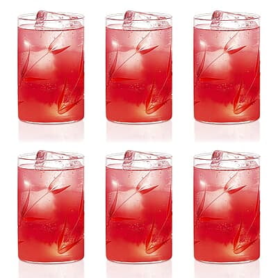 Borosil 295 ml Set of 6 pcs Bouquet Vision Transparent Drinking Glass | Borosilicate Glass Tumblers for Water, Cold Drinks, Juice| Flame Proof, Microwave & Dishwasher Safe | for Daily use & Gifting