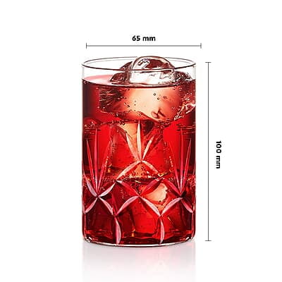 Borosil 295 ml Set of 6 pcs Meadow Vision Transparent Drinking Glass | Borosilicate Glass Tumblers for Water, Cold Drinks, Juice| Flame Proof, Microwave & Dishwasher Safe | for Daily use & Gifting