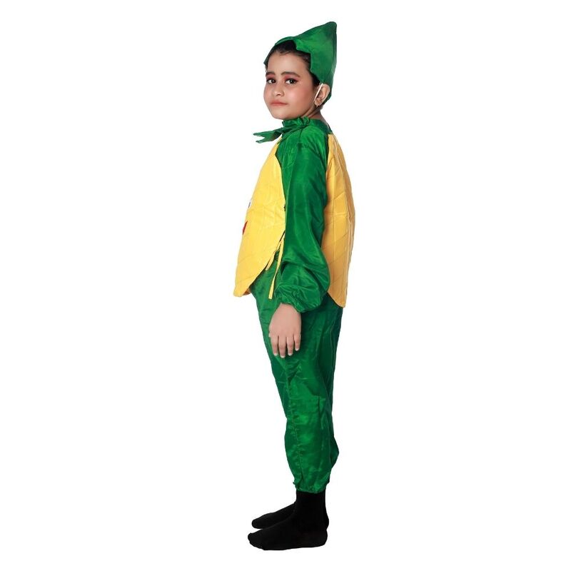 Pineapple Fruit Fancy Dress Costume