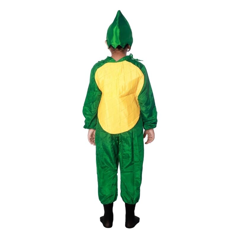 Pineapple Fruit Fancy Dress Costume