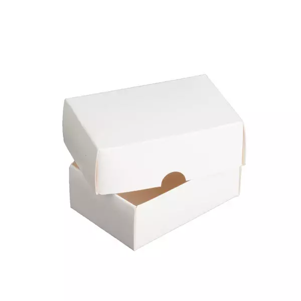Mango Crunch - 1 KG Pack