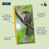 Pan-India Pocket Guides Kit