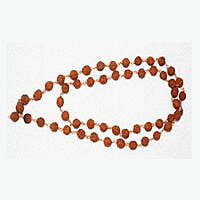 Rudraksha maalai 5 face