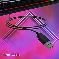1U PVC CABLE MANAGER