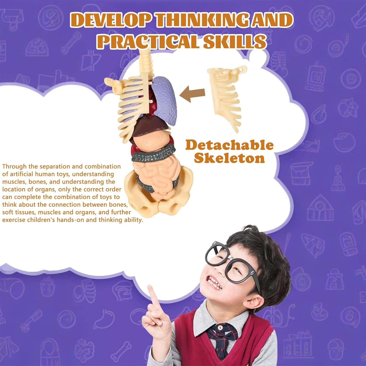 Human Body Structure Model, Human Body Model for Kids , 3D Clear Human Body Structure Model Human Body Structure Model, Human Body Model for Kids , 3D Clear Human Body Structure Model