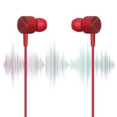 ZEBRONICS Zeb-Buds C2 in Ear Type C Wired Earphones with Mic, Braided 1.2 Metre Cable, Metallic Design, 10mm Drivers, in Line Mic & Volume Controller