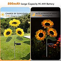 Sunflower Lights, 800mA Solar Garden Light with Real Looking Flowers Outdoor Waterproof Solar Stake Lights for Back Yard