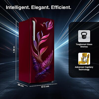 Godrej 268 L 3 Star Turbo Cooling Technology Ensuring Faster Cooling Direct Cool Single Door Refrigerator