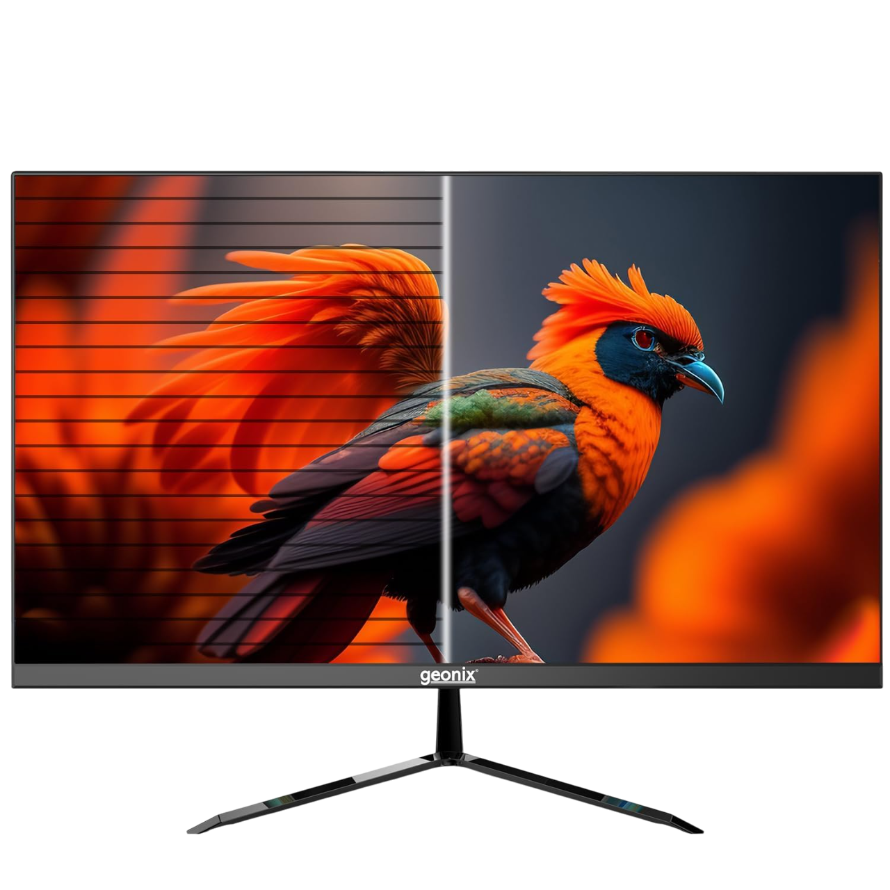 Geonix 22 Inch 75 Hz PC Monitor, 3 Years Warranty -GXTF-WVHDF22 Geonix 22 Inch 75 Hz PC Monitor, 3 Years Warranty -GXTF-WVHDF22
