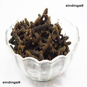 Thippili or Long pepper Thippili or Long pepper
