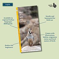 Pan-India Pocket Guides Kit