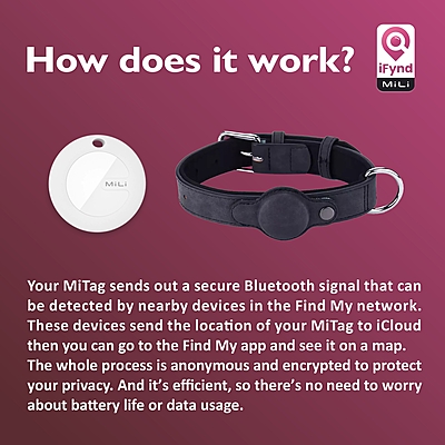 MiTag with Collar (Dogs)- Pet Anti-Loss Device